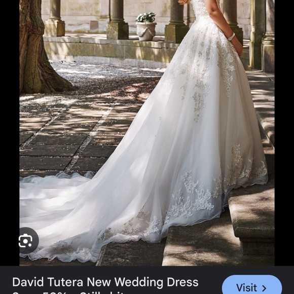 DAVID TUTERA WEDDING DRESS - Picture 8 of 8